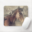 Search for horse computer Brown