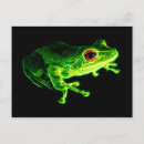 Search for tree frog postcards Green