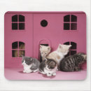 Search for discovery mousepads Studio shot