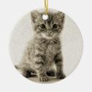 Search for tabby christmas tree decorations Kitten