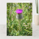 Search for scottish thank you cards Scotland