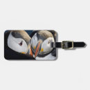 Search for ralph accessories Pelagic
