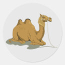 Search for camel cartoon stickers Animal
