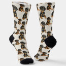 Search for animal socks Dog