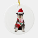 Search for schnauzer christmas tree decorations Thankgiving