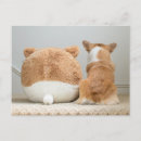 Search for plush postcards Puppy