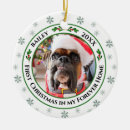 Search for white cat christmas tree decorations Snowflakes