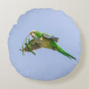 Search for parakeet cushions Tropical