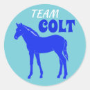 Search for colts stickers Cute