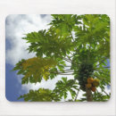 Search for sight mousepads Destination