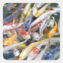 Search for swimming fish stickers Pond