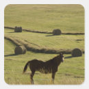 Search for hay stickers Bale