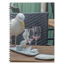 Search for seagull Wildlife