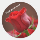 Search for beautiful red rose stickers Nature