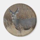 Search for does magnets Deer