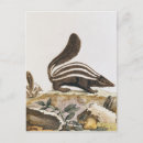 Search for smell postcards French