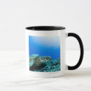 Search for underwater mugs Wildlife