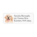 Search for golden retrievers return address labels Watercolor