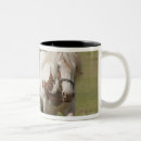 Search for clydesdale horse mugs Animal