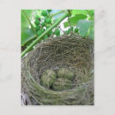 Search for money postcards Cash