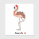 Search for flock stickers Tropical