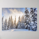 Search for snow crystal art Crystal mountain ski resort