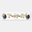 Search for tabby bumper stickers Kitty