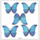 Search for 5 stickers Blue