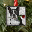Search for boston christmas tree decorations Terriers
