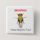 Search for drosophila Nature