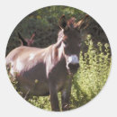 Search for donkeys stickers Mule