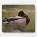 Search for duck mousepads Fowl