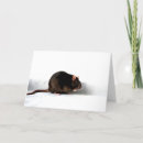 Search for cute rats cards Rodent