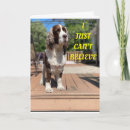 Search for springer spaniel birthday cards Veterinarian
