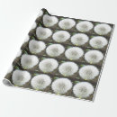 Search for dandelion wrapping paper White