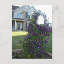 Search for mailbox postcards Flowers