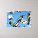 Search for blue hummingbird art Hummingbirds
