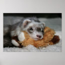Search for ferret art posters Mustelid