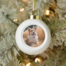 Search for family with dog christmas tree decorations Keepsake