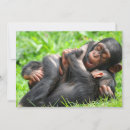 Search for cutest cards Monkey