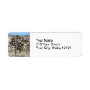 Search for joshua tree national park return address labels Desert