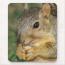 Search for nuts mousepads Peanut