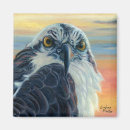Search for osprey magnets Raptor