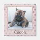Search for dot pink magnets Cute