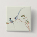 Search for magpie badges Bird