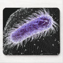 Search for microscopic mousepads Bacterium