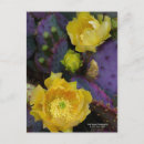Search for yellow flower postcards Cactus