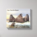 Search for walrus art Arctic