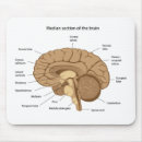 Search for human anatomy mousepads Science