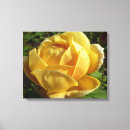 Search for old fashioned canvas prints Rose